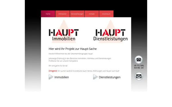 hauptdienstleistungen.de