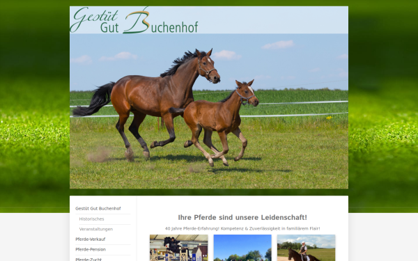 www.gut-buchenhof.de