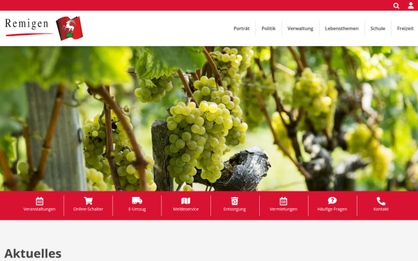 www.remigen.ch