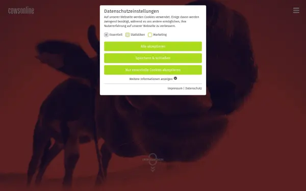 www.cows.de