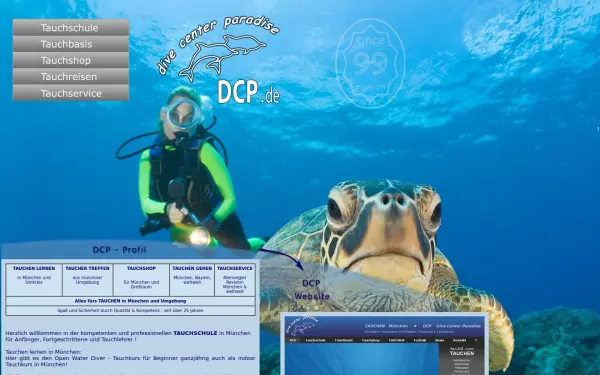 dcp.de