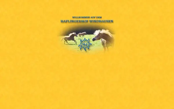 haflingerhof-windhausen.de