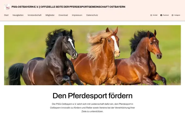 psg-ostbayern.de