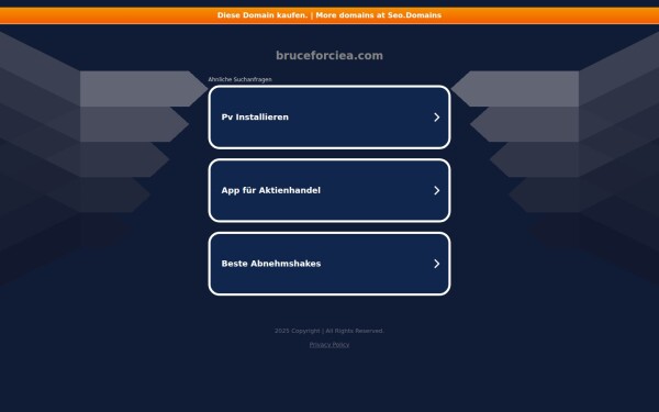 bruceforciea.com