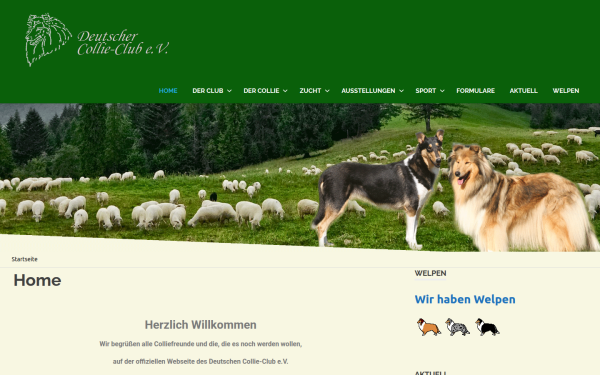 collie-club.de