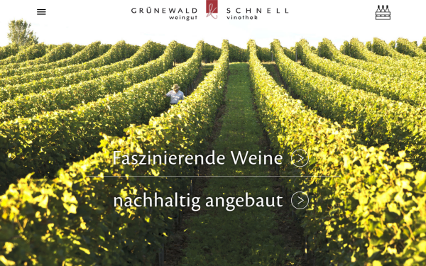 gruenewald-schnell.de