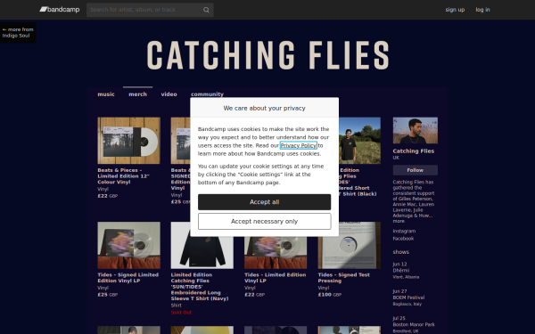catchingflies.bandcamp.com