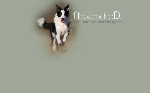 alexandrad-fotografie.de