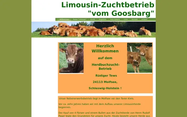 limousin-holstein.de