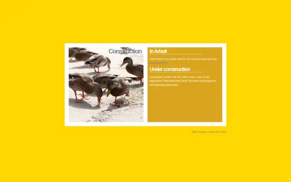 mafo-center.de