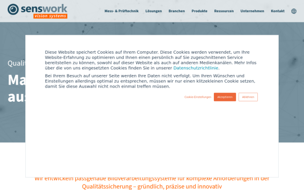 senswork.com