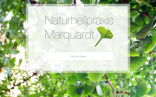 heilpraxis-marquardt.de