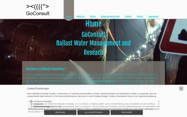 gollaschconsulting.de