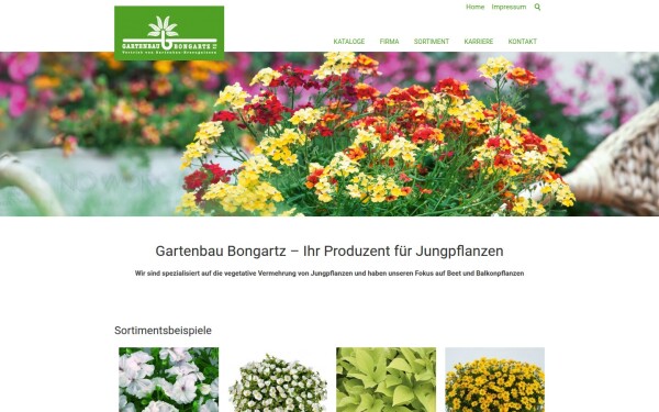 bongartz-gmbh.de