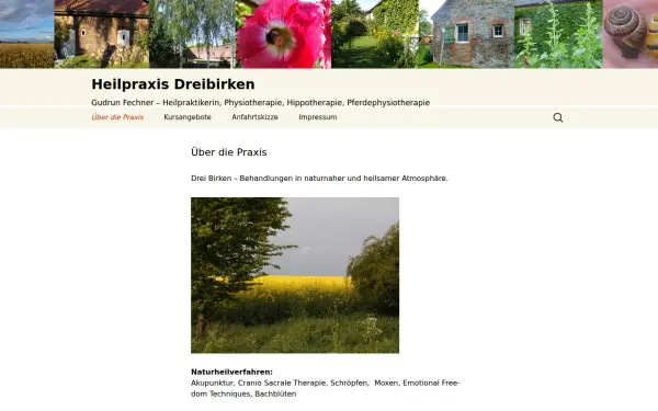 heilpraxis-dreibirken.de