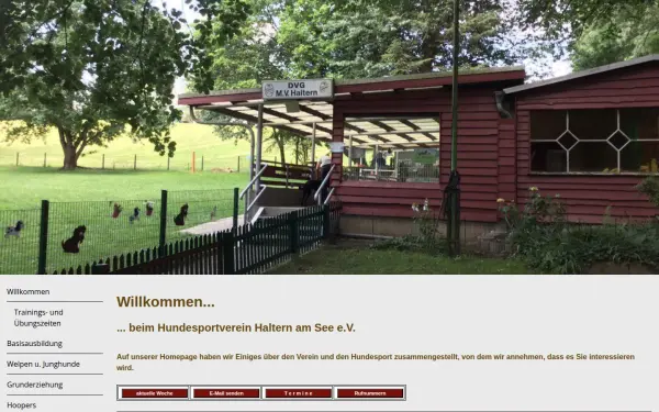 www.dvg-haltern.de