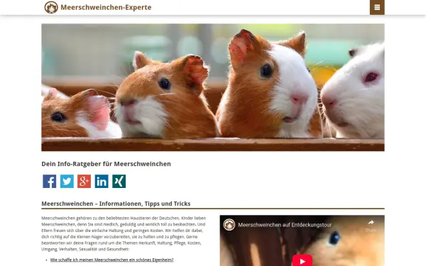 www.meerschweinchen-experte.de