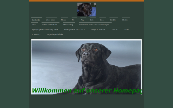 www.gimbly.de