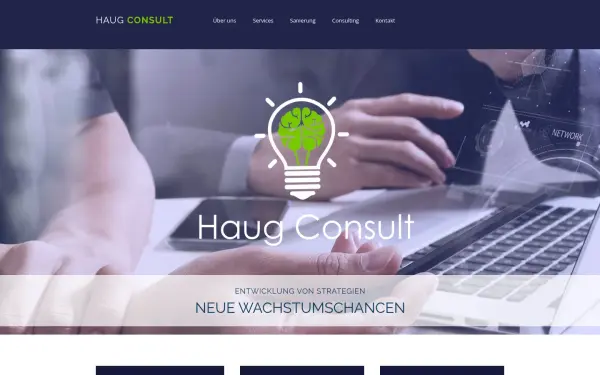 www.haug-consult.de