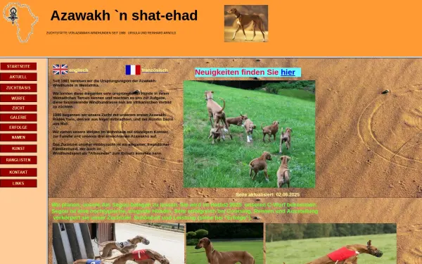 azawakh-arnold.de