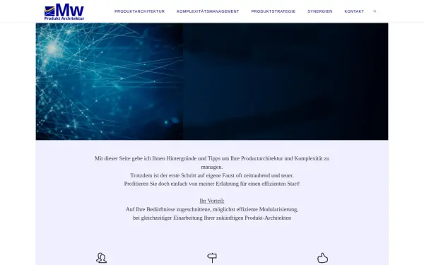 consulting.mayr-willius.de