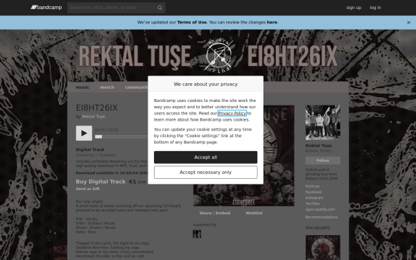 rektaltuse.bandcamp.com