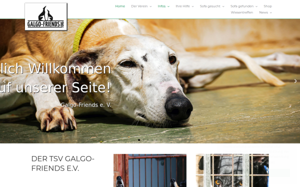 galgo-friends.org