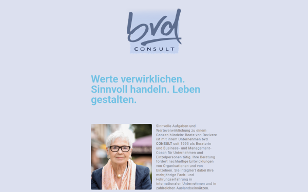 bvd-consult.de