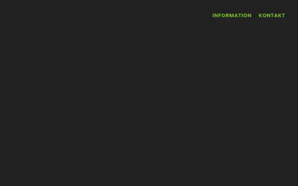 pulversaugmaschinen.de