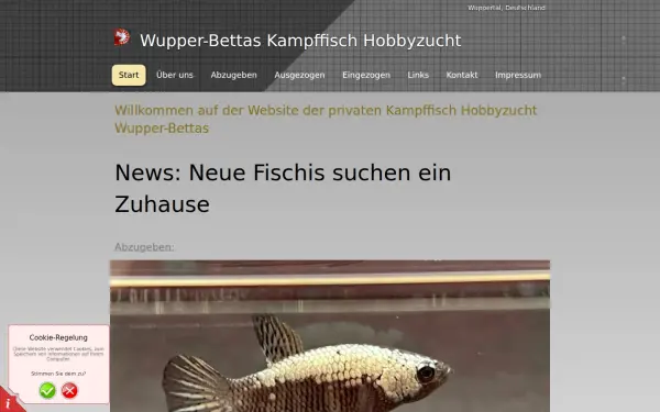 dabic.de