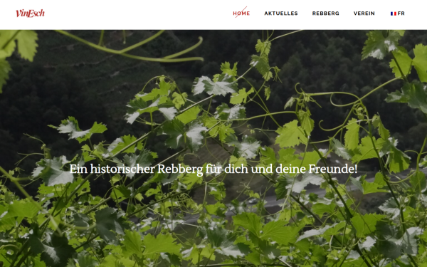 vinesch.ch