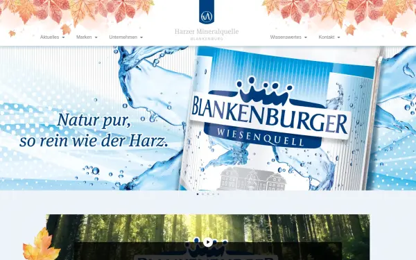 harzer-mineralquelle.de