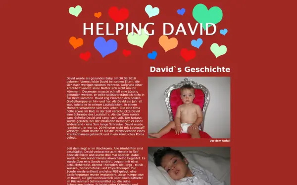 helpingdavid.de