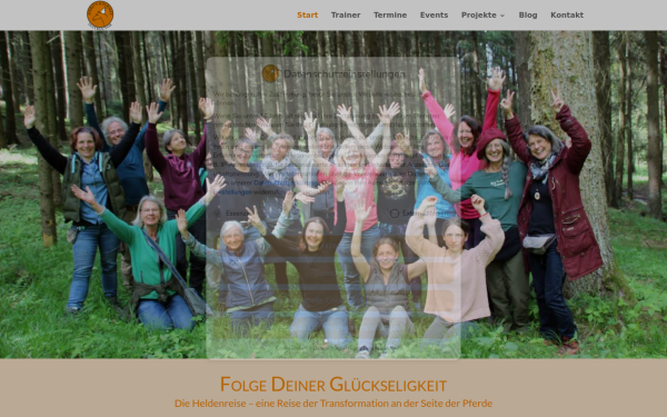www.heroesjourneymitpferden.de