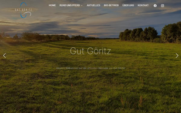 gut-goeritz.de