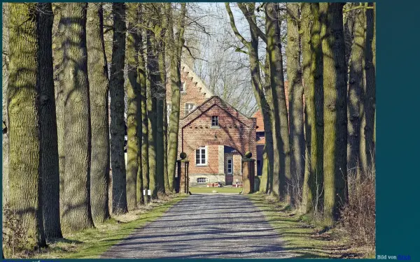 grauc.de