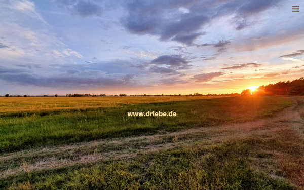 driebe.de