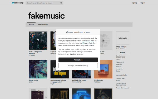 fakemusicrec.bandcamp.com