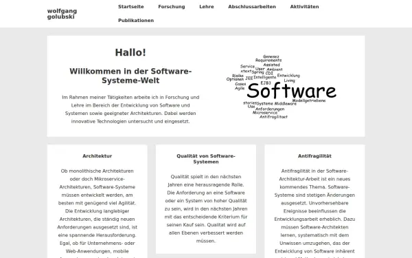 www.software-systementwicklung.de