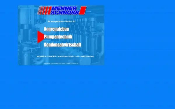 mehner-schnorr.de
