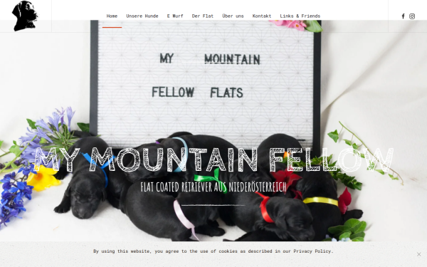 mymountainfellow.at