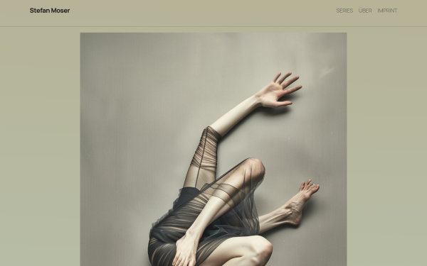 stefanmoser.at