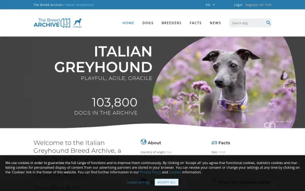 italiangreyhound.breedarchive.com