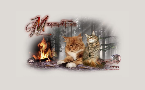 www.midnightfire-mc.com