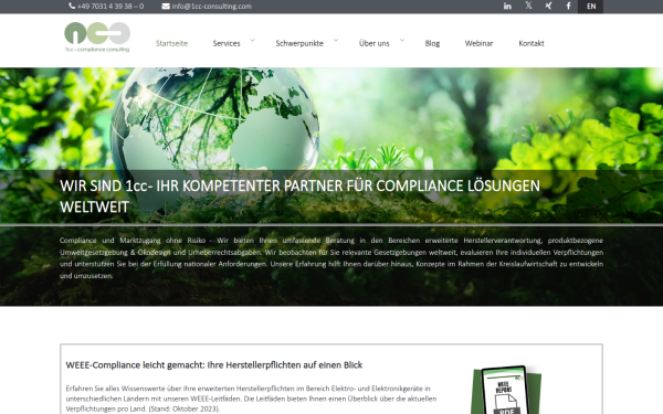 1cc-consulting.com