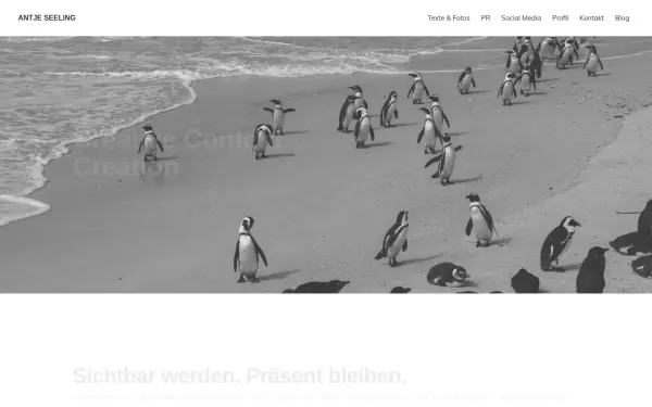 www.antjeseeling.de