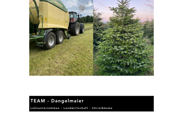 www.team-dangelmaier.christmas