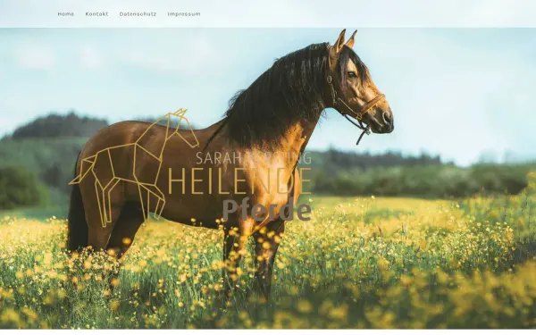 heilende-pferde.de