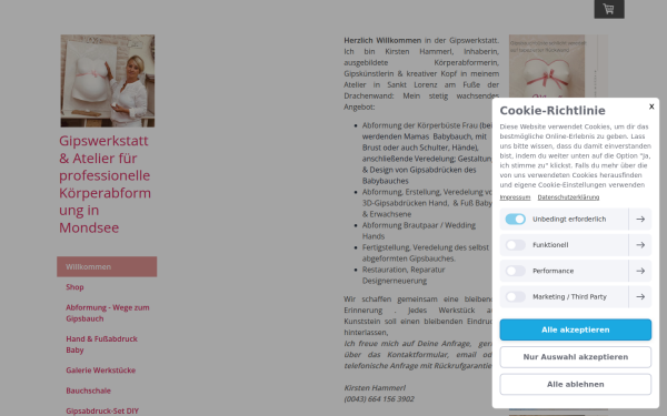 www.gipswerkstatt.at