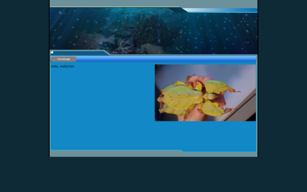myhippo.de